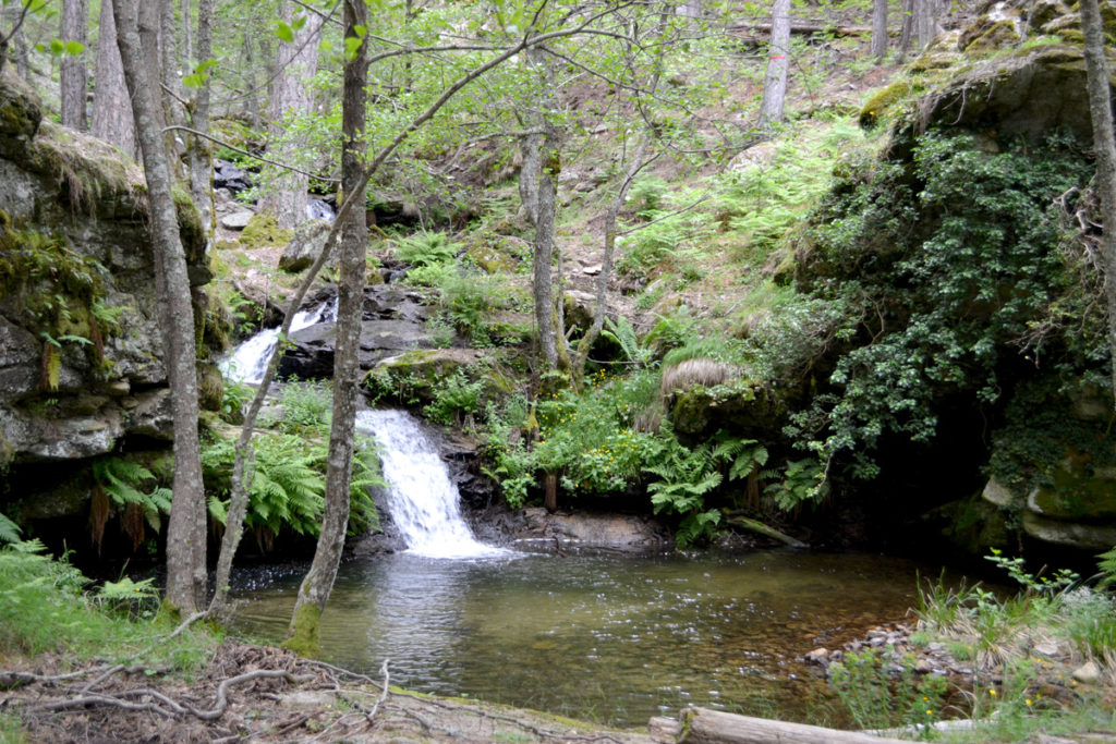 Jolie cascade en forêt